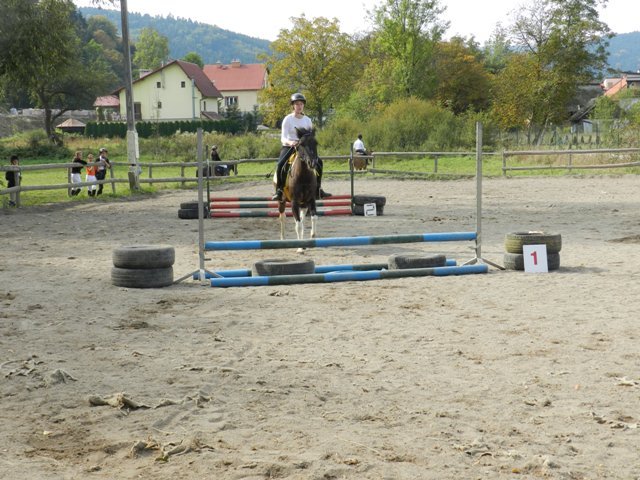 Babie Lato 2016
